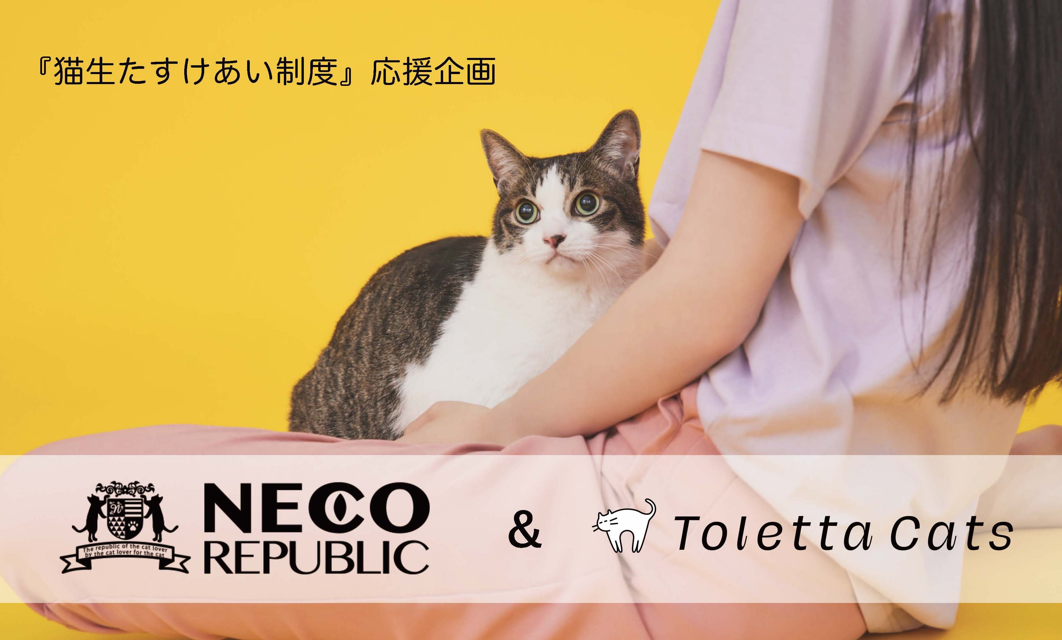すべての猫の幸せと健康を願って。トレッタキャッツはネコリパブリック