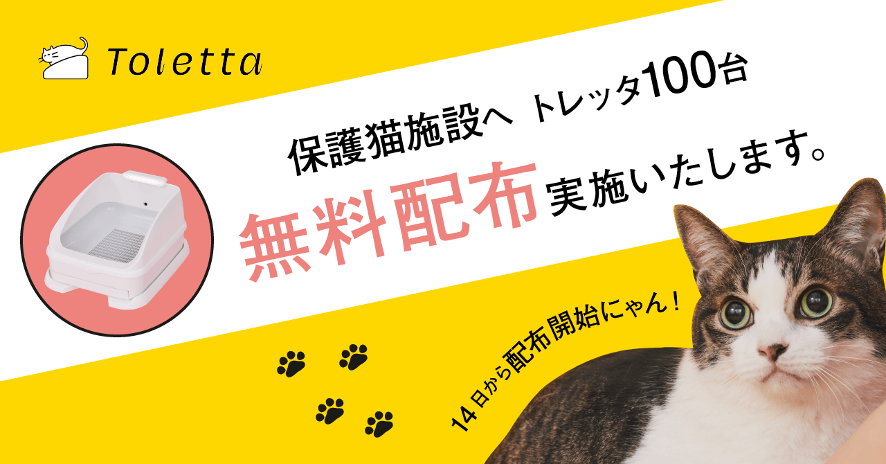 動物愛護週間】ねこヘルスチェックサービス「Toletta（トレッタ