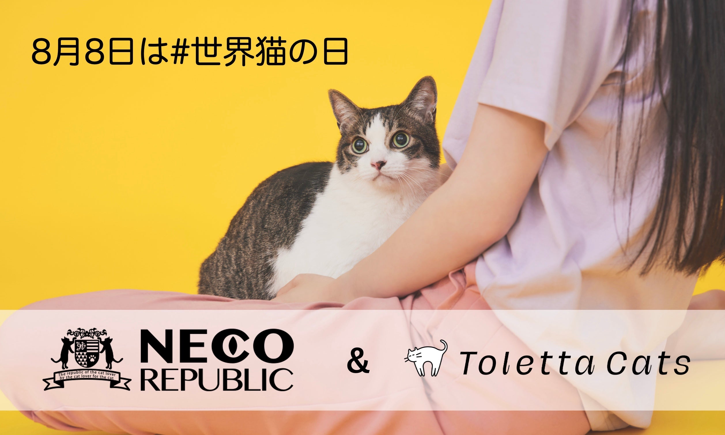 8月8日は #世界猫の日 ＞すべての猫の幸せと健康を願って。トレッタ