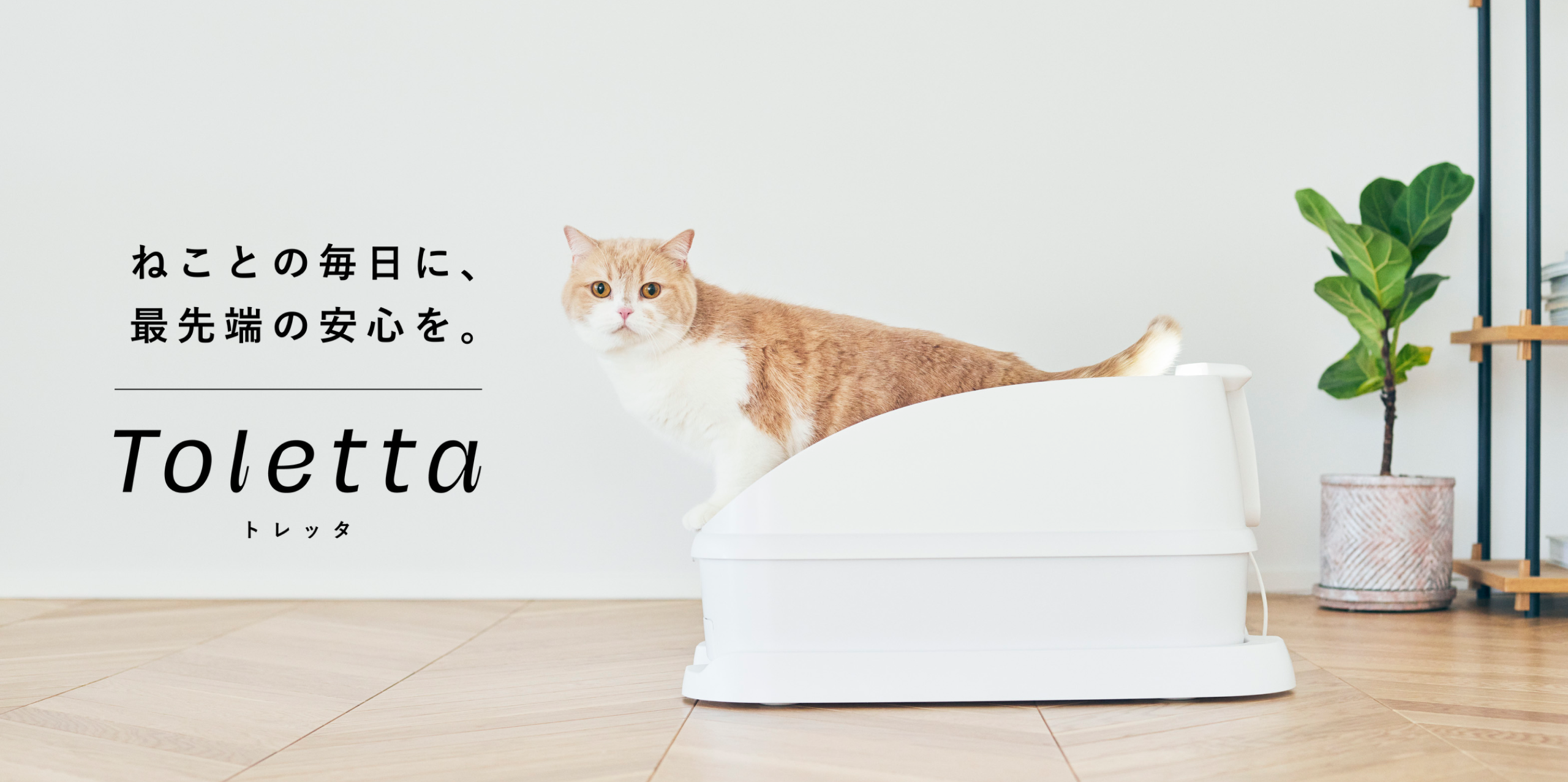 トレッタ[Toletta] - カメラつきねこトイレ | Toletta Cats [トレッタ ...