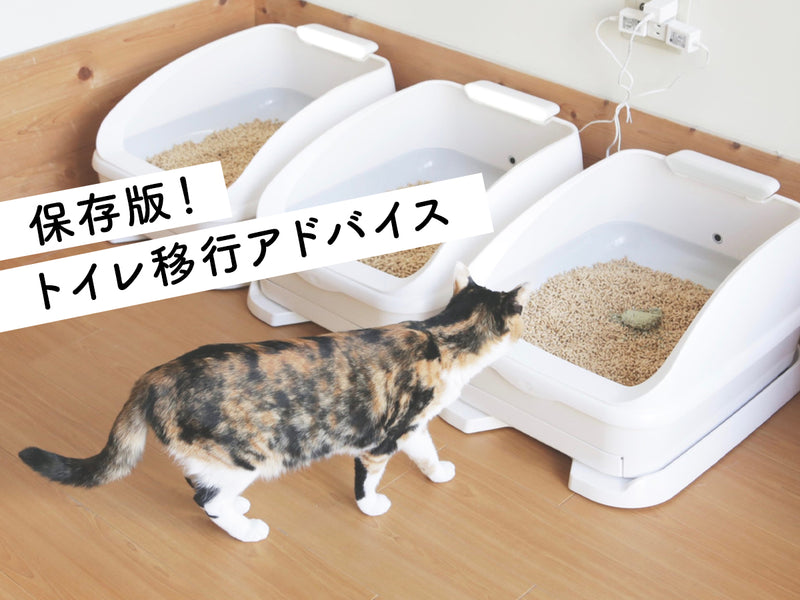 新しいねこトイレと砂の変更にお悩みの方へ。トイレ移行アドバイス