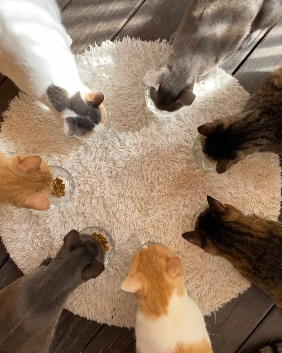 トレッタのある生活 Vol.6 midorinotanbo | Toletta Times | Toletta