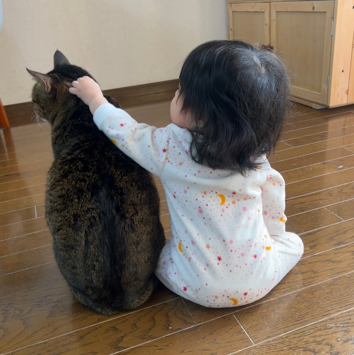 みどり(別部屋にて猫を飼っております)様専用 みどり(別部屋