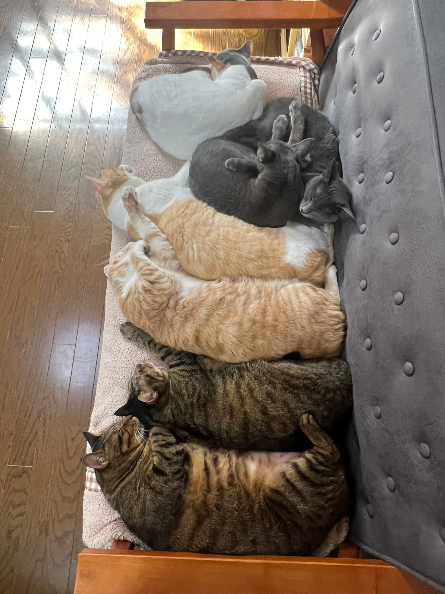 トレッタのある生活 Vol.6 midorinotanbo | Toletta Times | Toletta