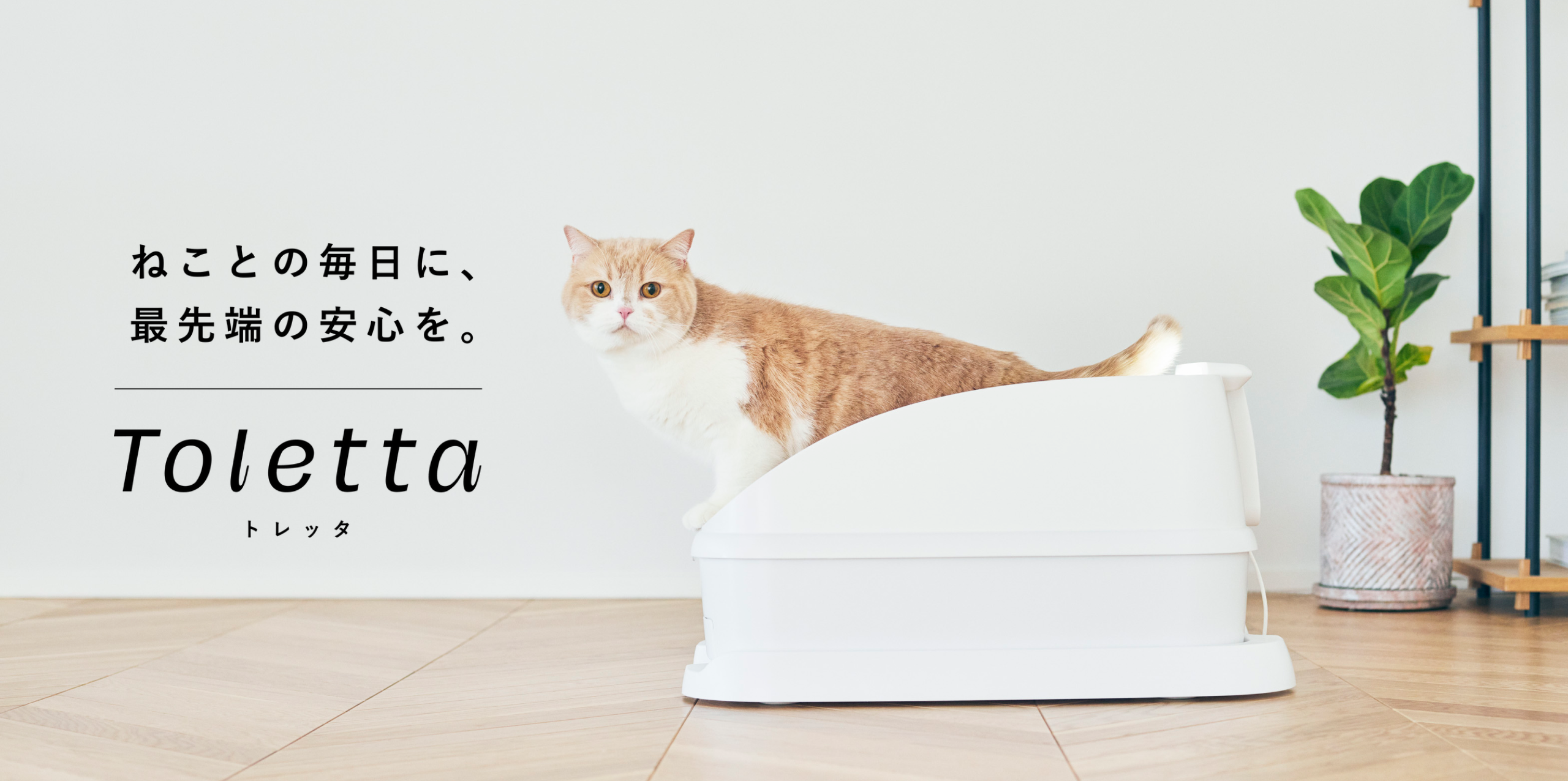 トレッタ[Toletta] - カメラつきねこトイレ | Toletta Cats [トレッタ