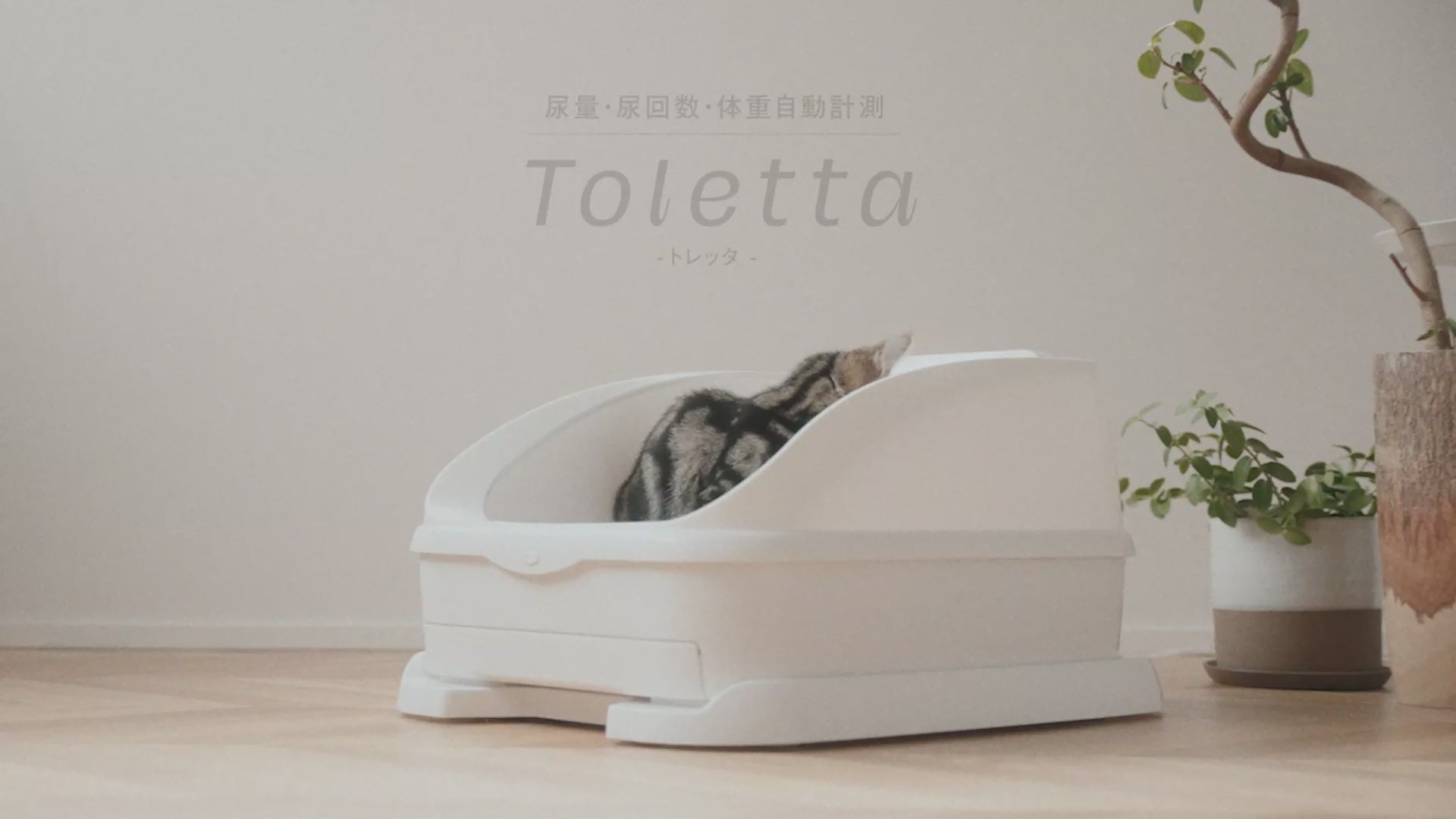 トレッタ[Toletta] - カメラつきねこトイレ | Toletta Cats [トレッタキャッツ]