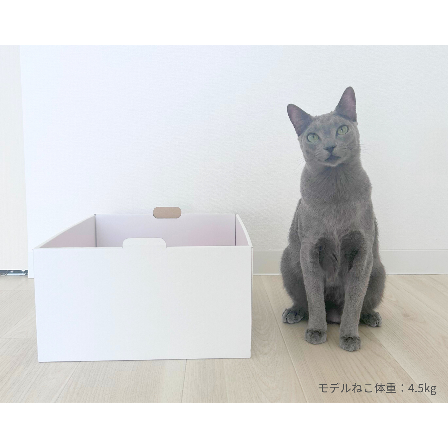 【新商品】爪とぎBOX