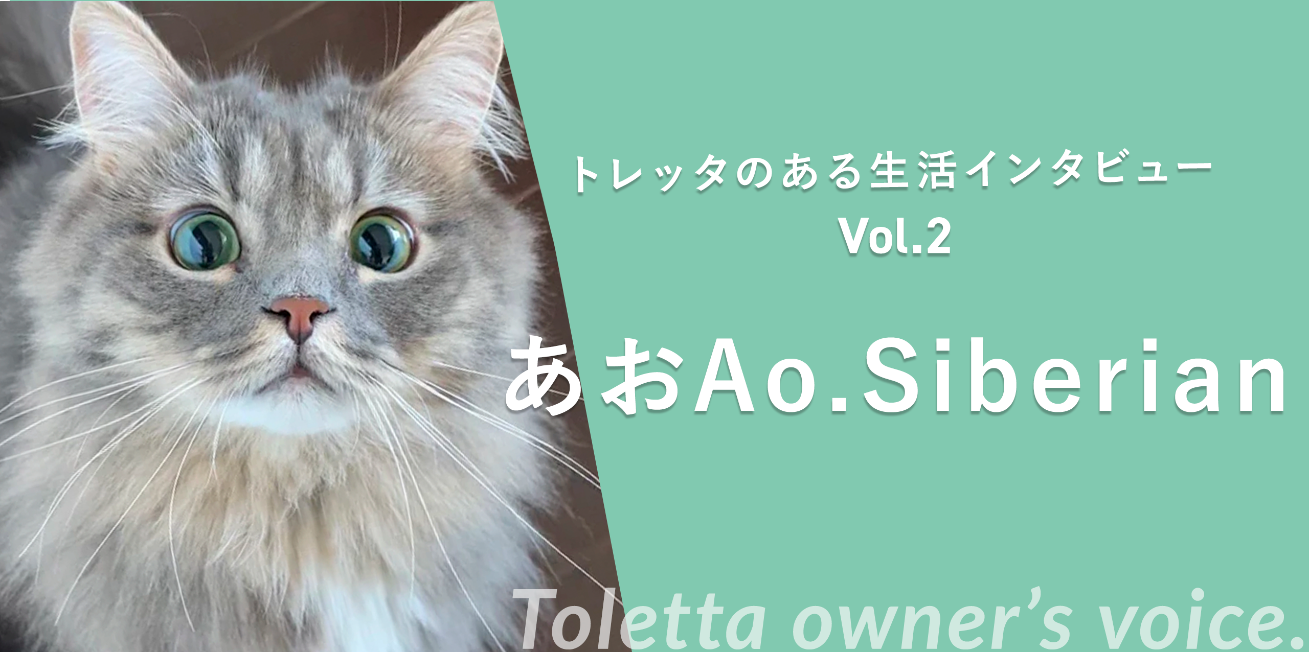 トレッタ[Toletta] - カメラつきねこトイレ | Toletta Cats [トレッタ